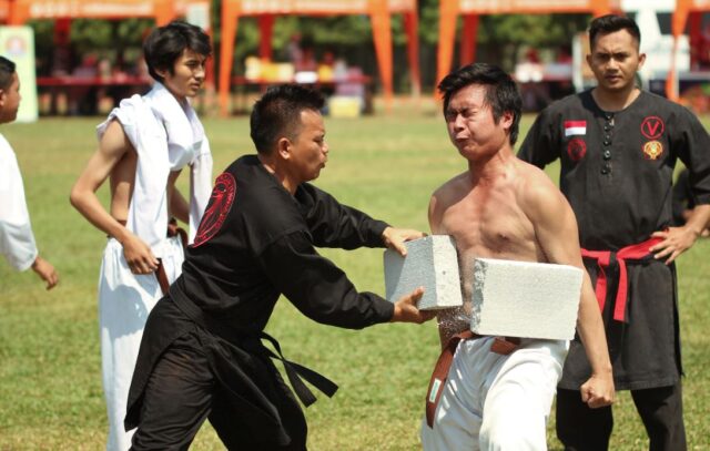 Seni Beladiri dan Pencak Silat di Indonesia: Warisan Budaya yang Perkasa